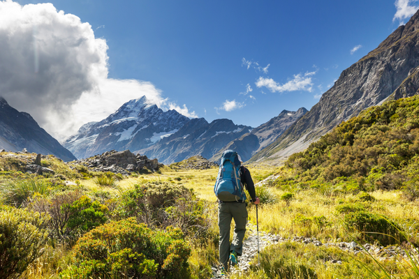 New Zealand Awaits: The Perfect Adventure for Every Traveller